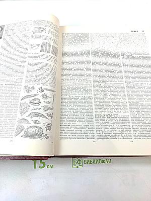 Большая Советская Энциклопедия. Том 4: БРАСОС - ВЕШ