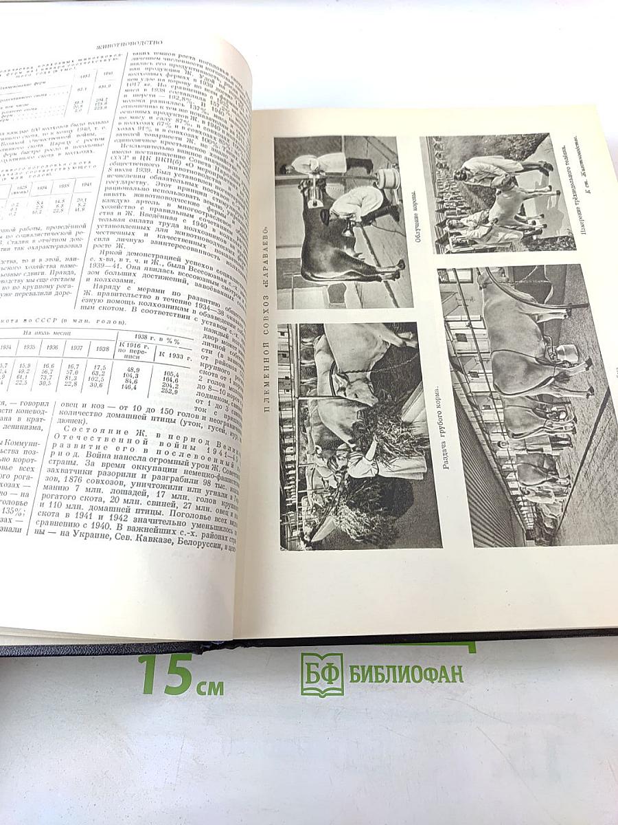 Большая Советская Энциклопедия, Том 16: Железо-Земли