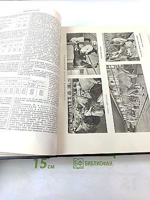 Большая Советская Энциклопедия, Том 16: Железо-Земли