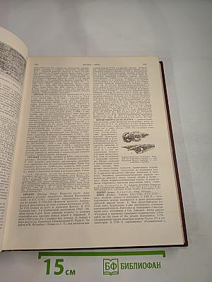 Советская историческая энциклопедия. Том 2: Баал—Вашингтон