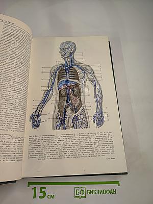 Малая медицинская энциклопедия. Том 2. Бронхоаденит - Гониотомия