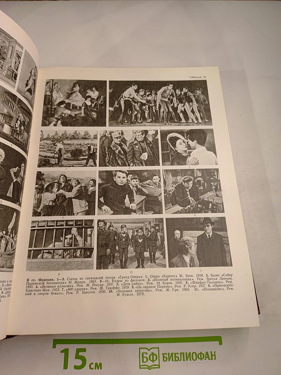 Большая советская энциклопедия. Том 28: Франкфурт – Чага