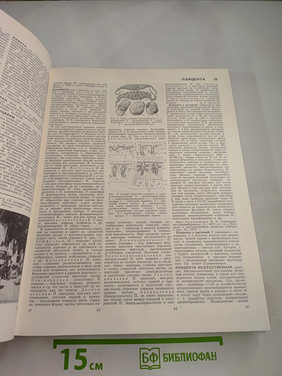 Большая Советская Энциклопедия. Том 20 (ПЛАТА - ПРОБ)