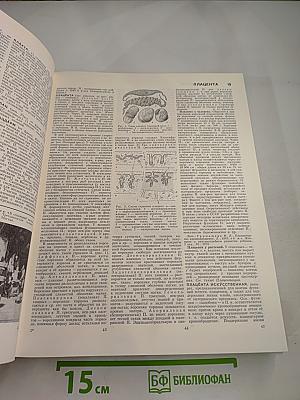 Большая Советская Энциклопедия. Том 20 (ПЛАТА - ПРОБ)