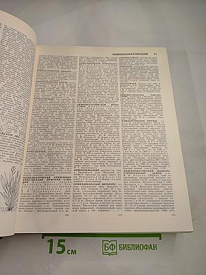 Большая советская энциклопедия. Том 18: Никко - Олиты