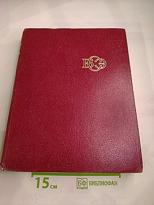 Большая Советская Энциклопедия. Том 4: Брасос – Вещь