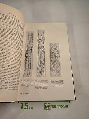 Опыт Советской Медицины в Великой Отечественной Войне 1941-1945 гг. Том 20