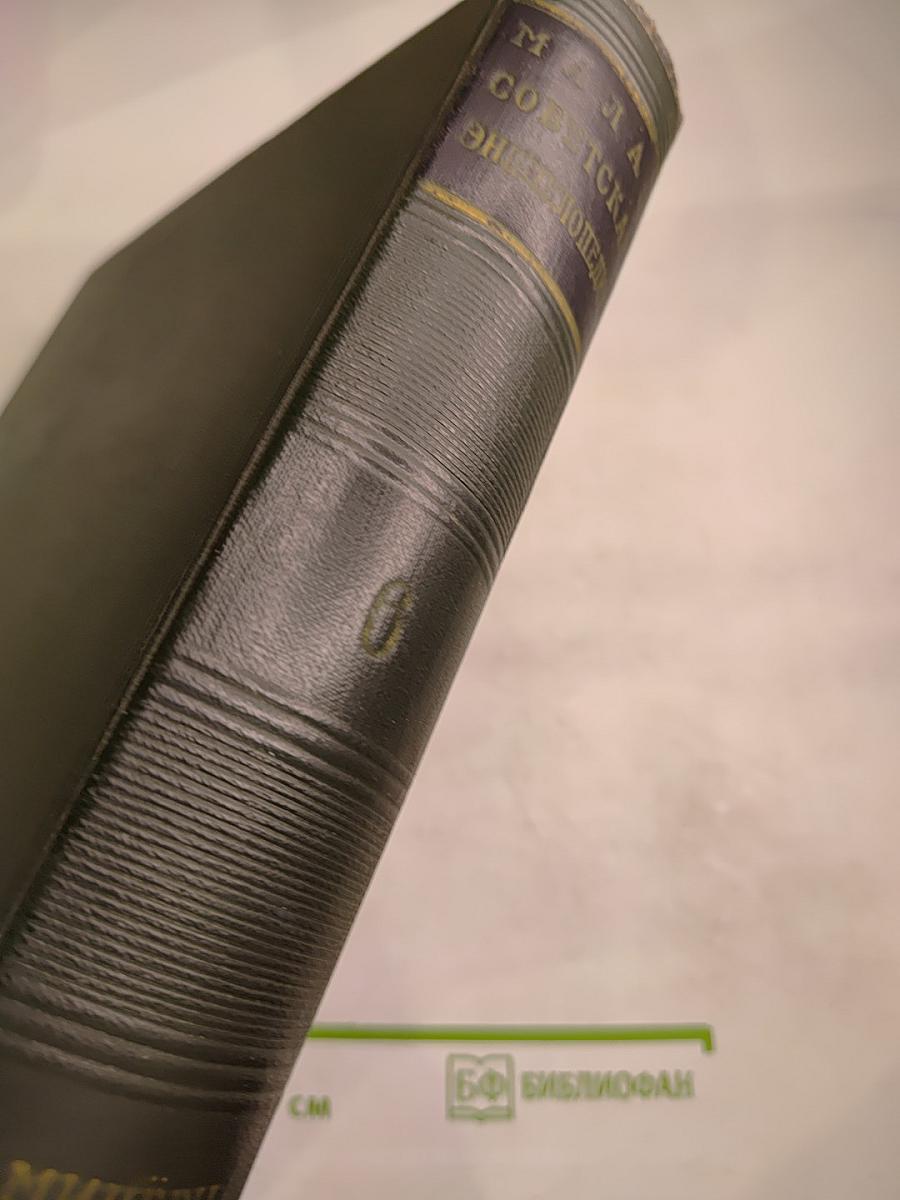 Малая Советская Энциклопедия, Том 6