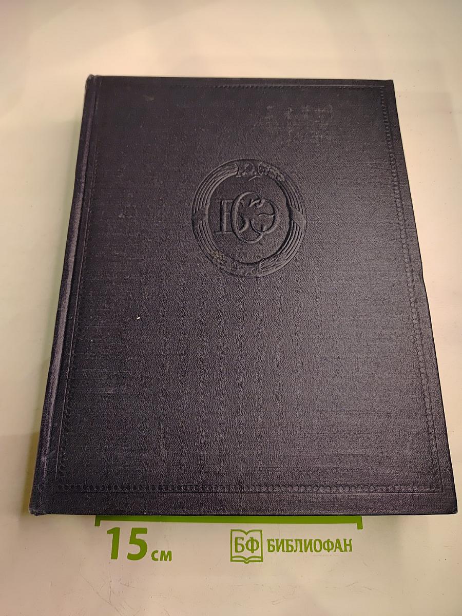 Большая советская энциклопедия. Том 40: Сокирки - Стилоспоры