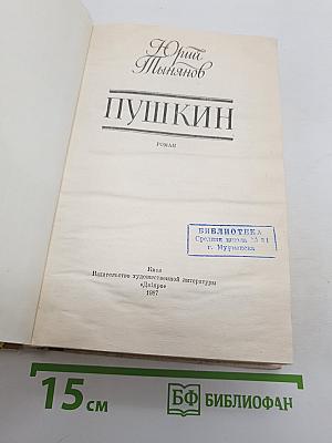 Пушкин