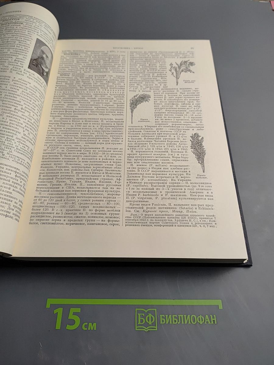 Большая Советская Энциклопедия. Том 35: Прокат - Раковины