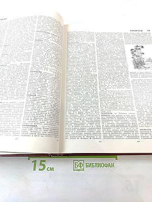 Большая Советская Энциклопедия, Том 19. Отоми - Пластырь