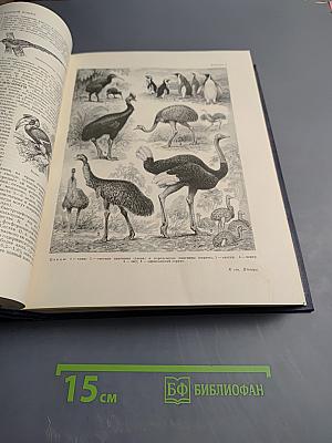 Большая Советская Энциклопедия. Том 35. Прокат — Раковины
