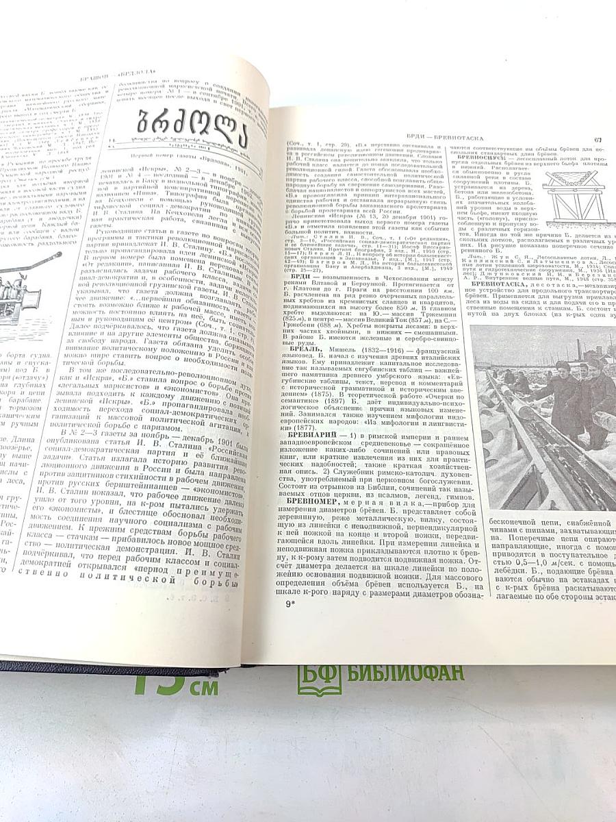 Большая Советская Энциклопедия. Том 6: Ботошани – Вариолит