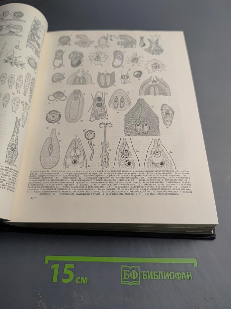 Большая Советская Энциклопедия. Том 31. Олонхо - Панино