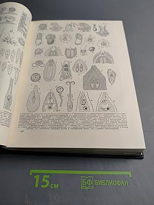 Большая Советская Энциклопедия. Том 31. Олонхо - Панино