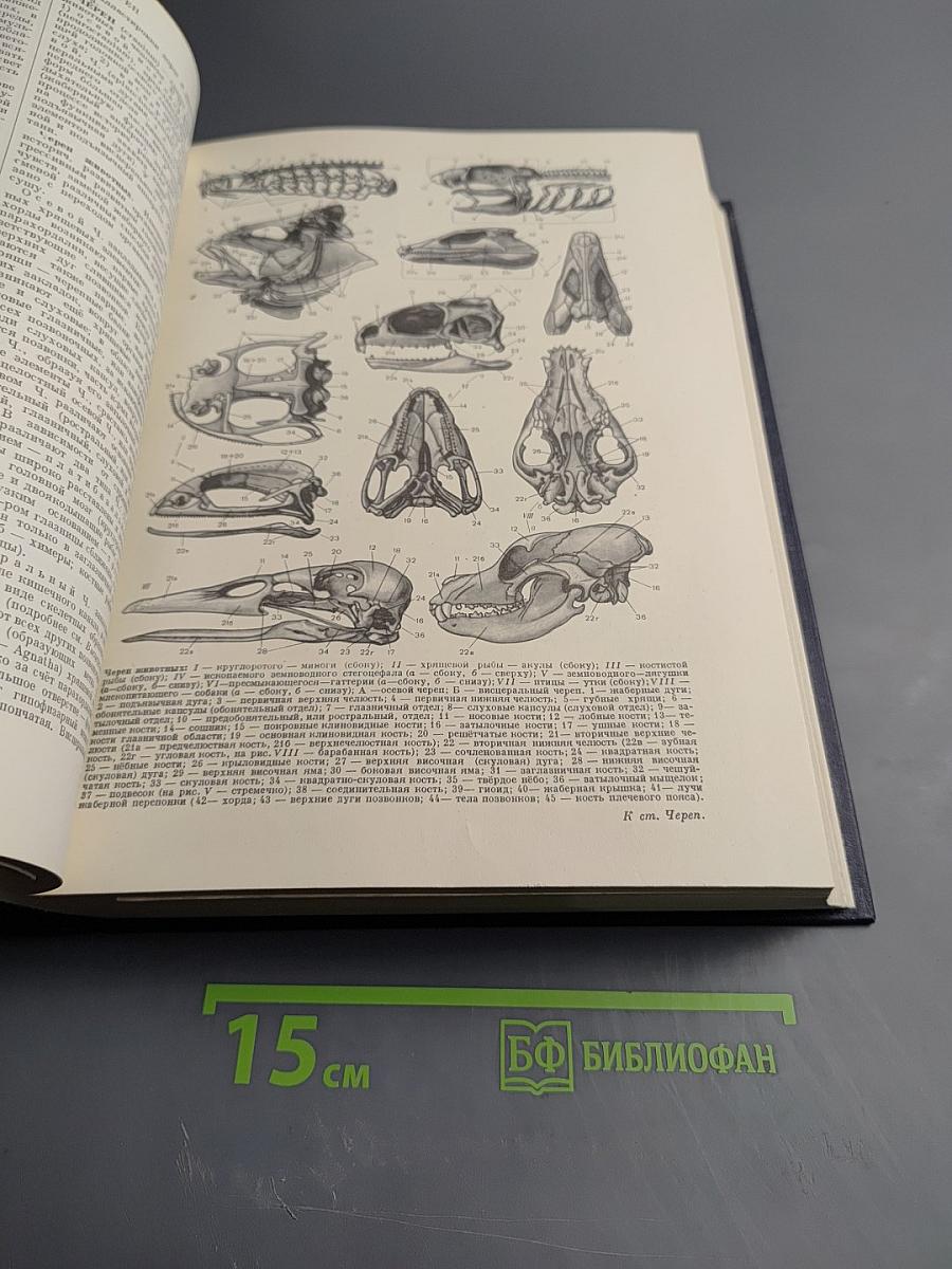 Большая Советская Энциклопедия. Том 47: ЦУРУОКА - ЩЕРБОТ. Второе издание.