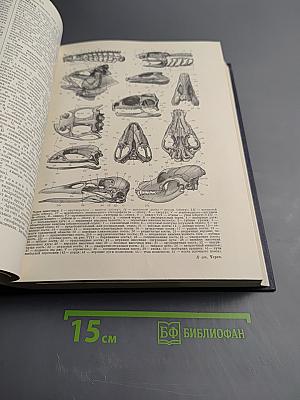 Большая Советская Энциклопедия. Том 47: ЦУРУОКА - ЩЕРБОТ. Второе издание.