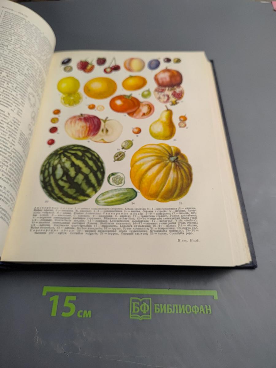 Большая советская энциклопедия, том 33: печь — польщи