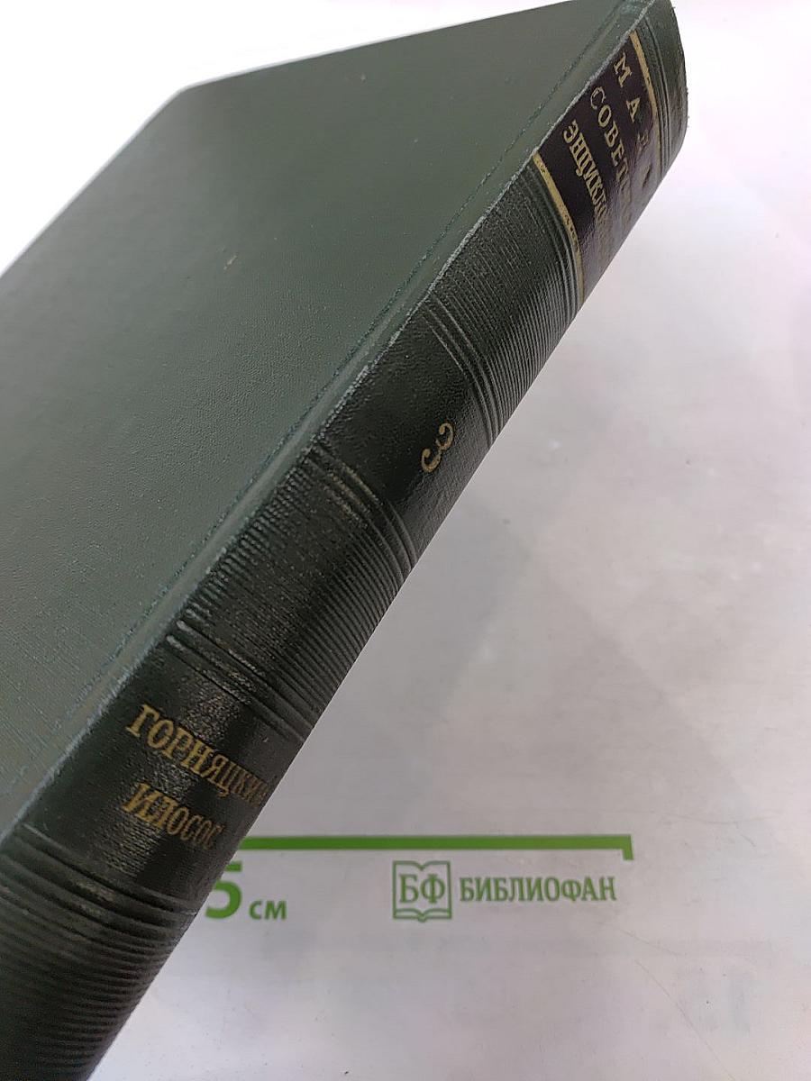 Малая Советская Энциклопедия. Том 3: Горицкий - Идолос