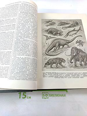 Малая советская энциклопедия. Том 4: Илоты - Котапгенс