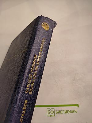 Чародей поневоле. Возвращение Короля Коболда