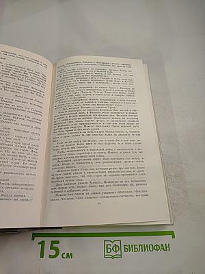 Луиза Сан-Феличе. Роман в двух книгах. Книга II