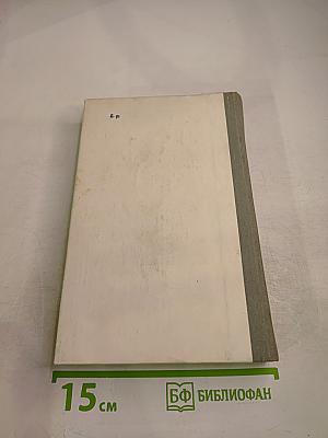 Луиза Сан-Феличе. Роман в двух книгах. Книга II