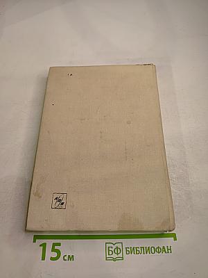 Человек Нового Мира