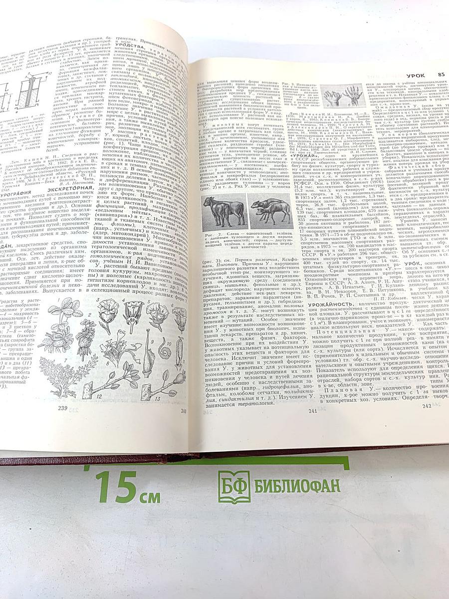 Большая советская энциклопедия. Том 27