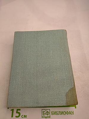 Мы еще встретимся. Небо за стеклами. Странные взрослые