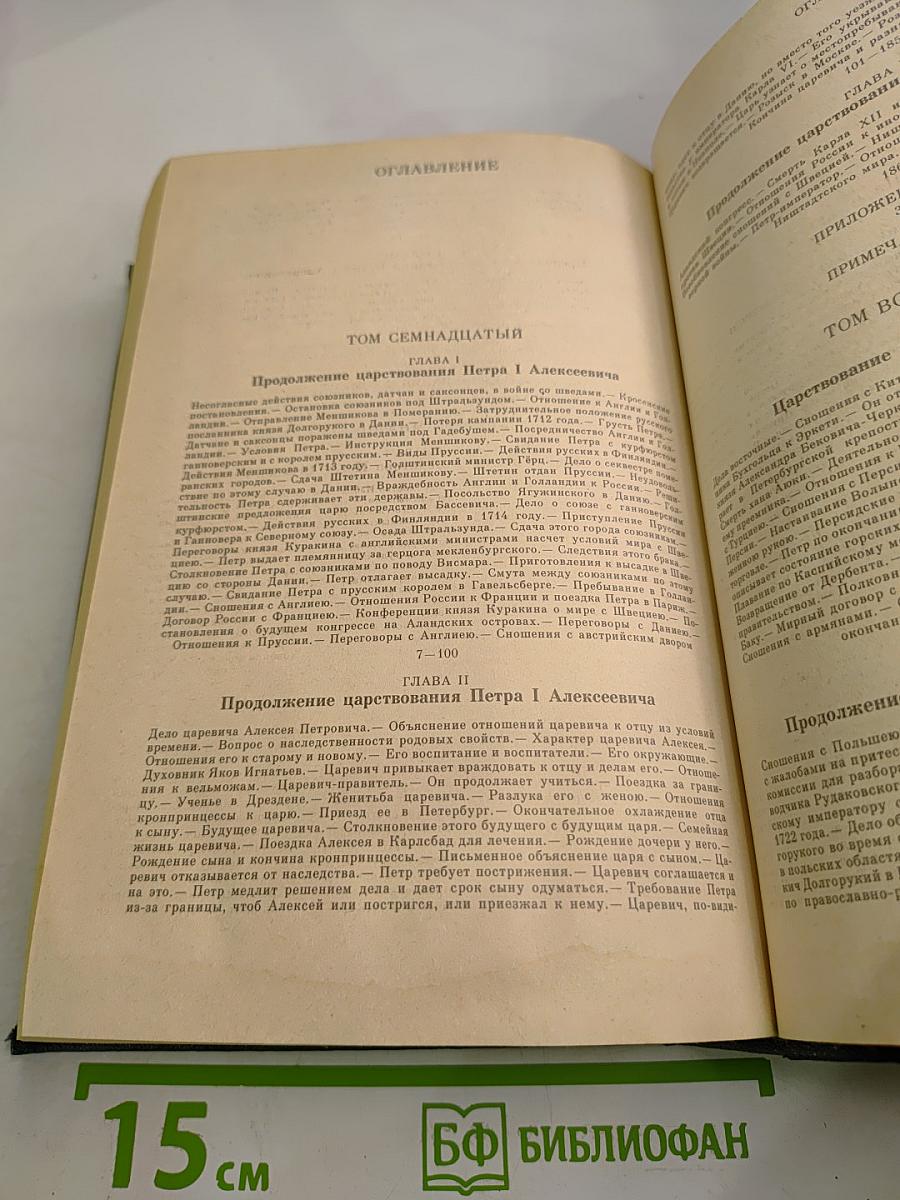 Сочинения. История России с древнейших времен. Книга IX. Тома 17-18