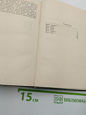 Ефимов кордон