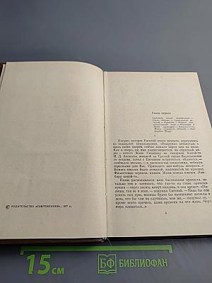 Водяной знак