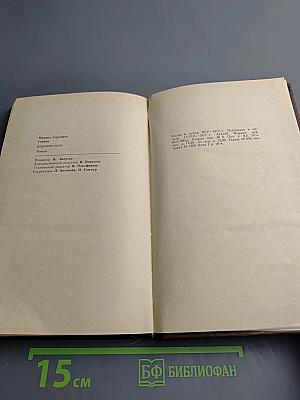 Водяной знак