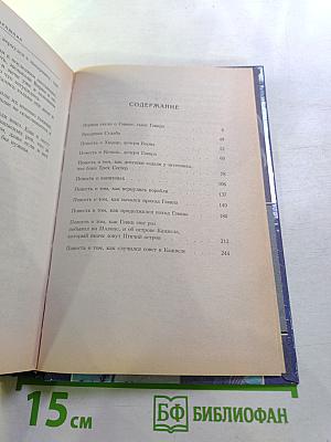 Слепой боец