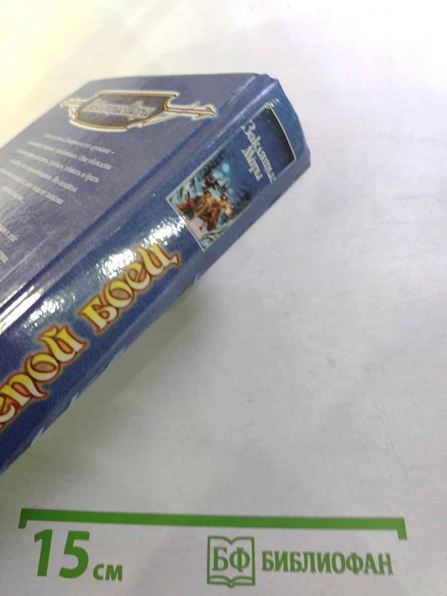 Слепой боец