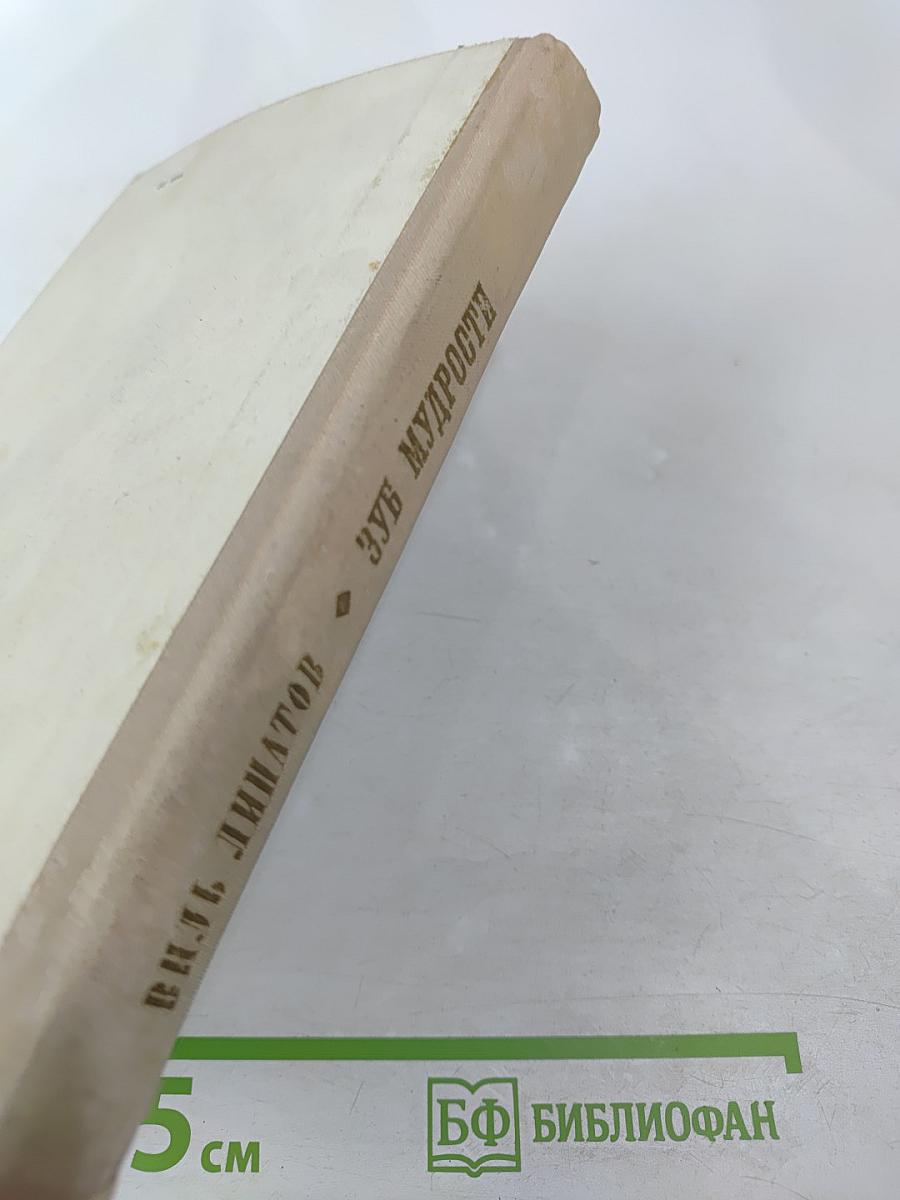 Зуб мудрости