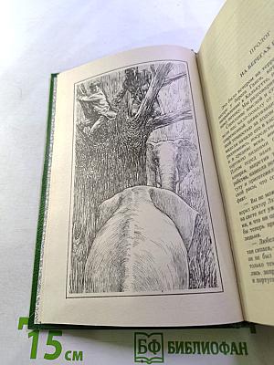 Берег Черного Дерева: Сборник романов