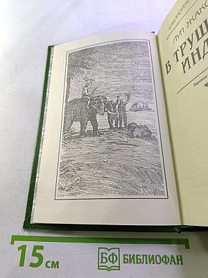 В трущобах Индии