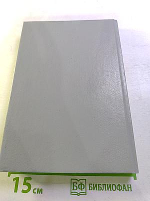 Юный император. Капитан гренадерской роты