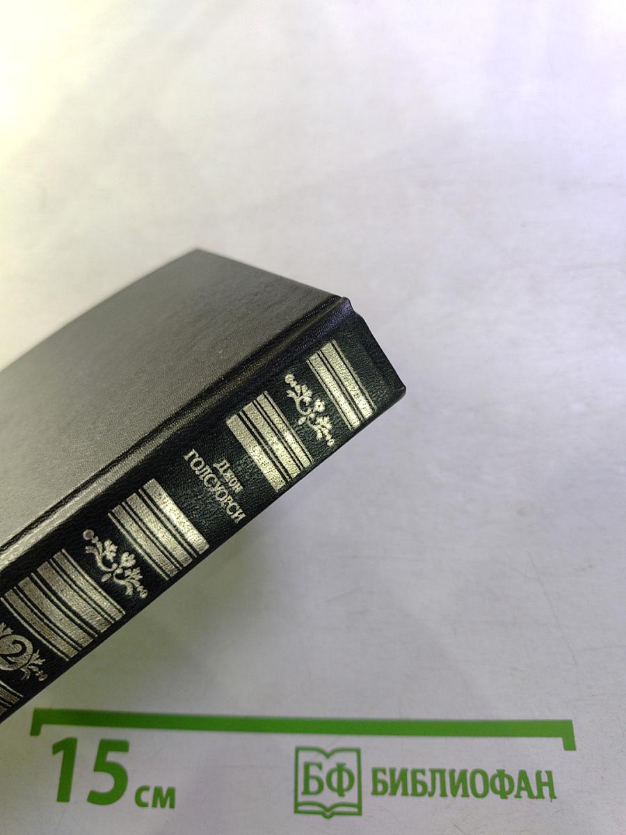 Сага о Форсайтах. Том II. В Петле. Пробуждение