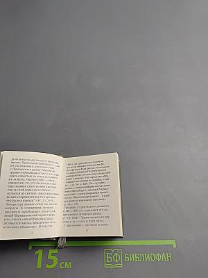 Н.Г. Чернышевский и книга