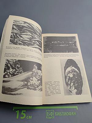 Опасные обитатели моря