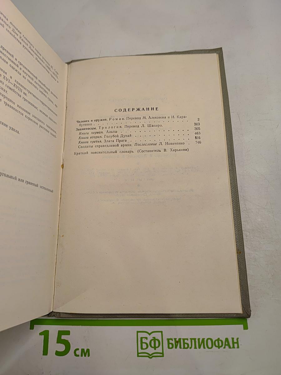 Человек и оружие. Знаменосцы