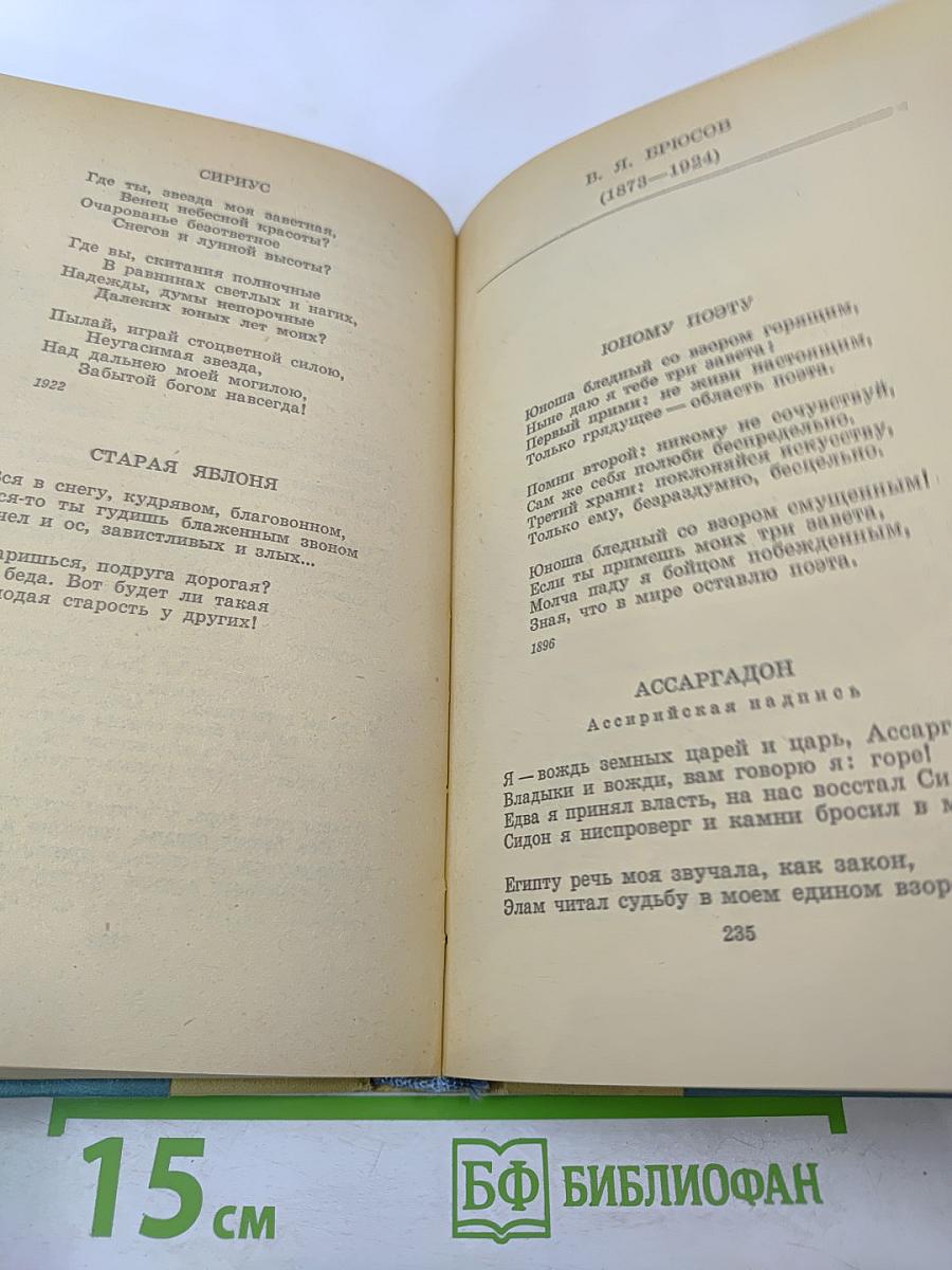 Путешествие в страну поэзия. Поэзия в школе. В двух книгах. Книга 1