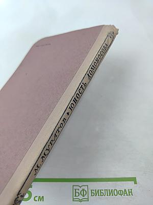 Юность Ломоносова