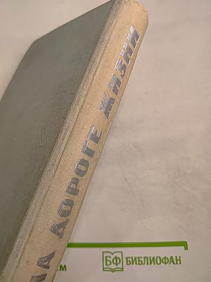 На дороге жизни