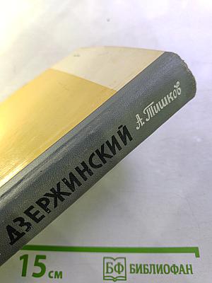 Дзержинский