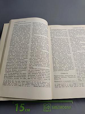 Книга Мормона. Новые Свидетельства об Иисусе Христе